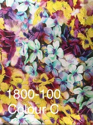 1800-100 Colour C