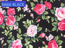 N666 BLACK