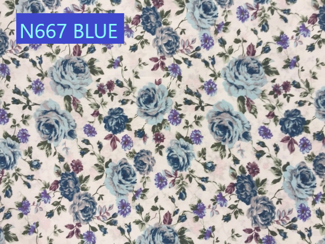 N667 BLUE